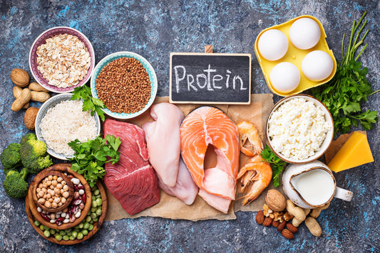 Protein That Goes Beyond the Gym